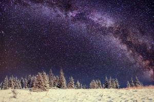 laticínios star trek na floresta de inverno foto