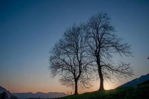 quinta com árvore ao pôr do sol foto