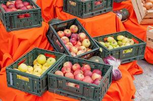 composição vegetal da temporada de outono da vinha de frutas foto