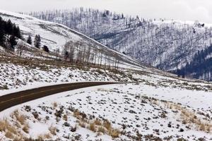 parque de yellowstone wyoming inverno neve foto