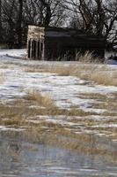 casa de fazenda abandonada em saskatchewan foto