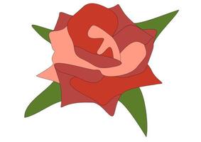 ilustração de rosa vermelha foto