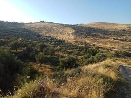 paisagens incríveis de israel, vistas da terra sagrada foto