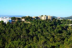 bela floresta e casas em barcelona foto