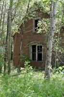 uma velha casa abandonada na floresta foto