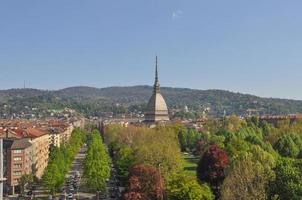 toupeira antonelliana turin foto