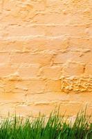 fundo de uma parede de tijolo pintada de laranja com grama verde crescendo na parte inferior. foto