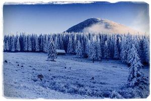 paisagem de inverno com neve nas montanhas cárpatos, ucrânia. vi foto