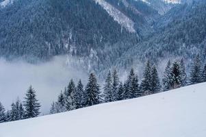 montanhas de inverno dos Cárpatos foto