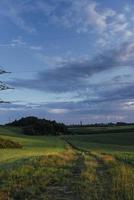 fantástico pôr do sol sobre o campo de trigo foto