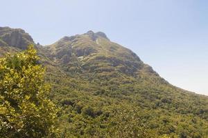 cidade do cabo do parque nacional da montanha da mesa, áfrica do sul. foto