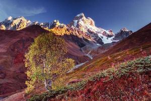 paisagem de outono e picos de montanhas nevadas. foto