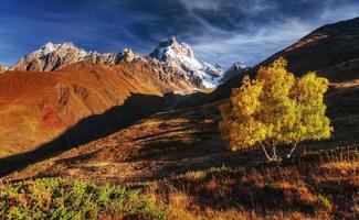paisagem de outono e picos nevados ao sol. foto