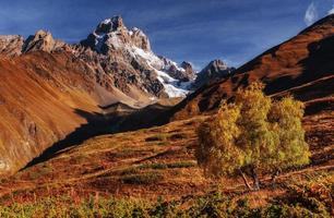 paisagem de outono e picos nevados ao sol. foto