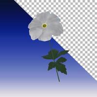 renderização 3d de flor de anêmona fresca isolada. foto