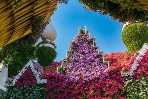 dubai, emirados árabes unidos, 2022 - decoração de jardim milagroso foto