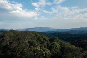 floresta tropical de alto ângulo e estrada para a floresta foto