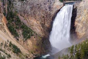 Lower Yellowstone Falls foto