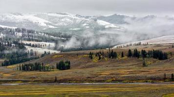 zona rural do parque nacional de yellowstone foto