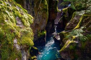 olhando em avalanche Creek em montana foto