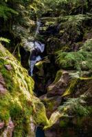 olhando em avalanche Creek em montana foto