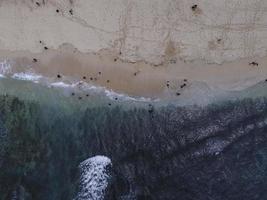 vista aérea de drone de férias na praia de gunung kidul, indonésia com oceano, barcos, praia e pessoas. foto