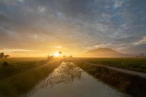 hora dourada do nascer do sol na cena rural foto