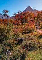 vale colorido mágico com florestas austrais, turfeiras, árvores mortas, riachos glaciais e altas montanhas no parque nacional tierra del fuego, patagônia, argentina, com caminhantes na trilha. foto