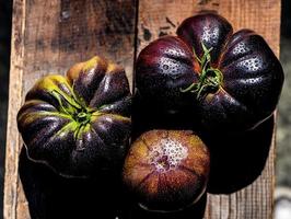 tomates pretos da herança acima da vista foto