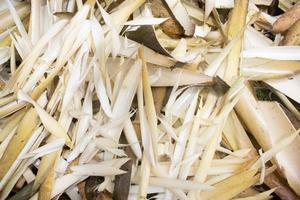 fundo abstrato de comida natural, brotos de bambu cortam lixo de bambu jovem foto