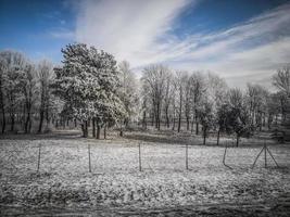 bosques e um prado coberto de neve na zona rural da Sérvia foto