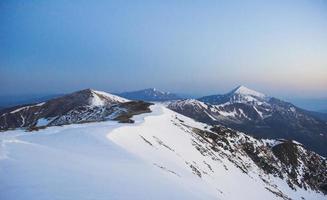 árvore mágica coberta de neve de inverno. pôr do sol nos Cárpatos. Reino Unido foto