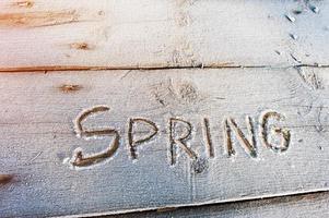 primavera escrito em um fundo de madeira com geadas foto