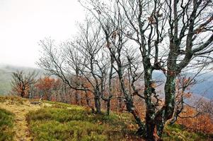 paisagem de outono com folhas douradas caídas, árvores nuas e caminho desgastado nas montanhas foto