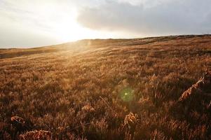 majestoso nascer do sol na colina na paisagem de montanhas. foto