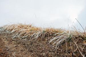 close-up de grama de geada na estrada de colina de montanha foto