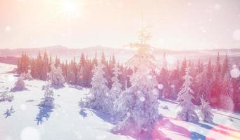 paisagem mágica de inverno, fundo com alguns destaques suaves a foto