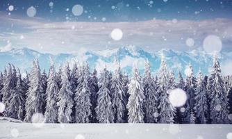 misteriosa paisagem de inverno majestosas montanhas em. magia foto