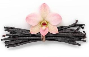 varas de baunilha secas e flor de orquídea isoladas no fundo branco. foto