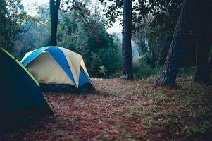 tendas e alojamento de turistas. dormindo na floresta no inverno e férias de turistas foto