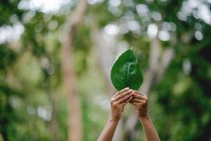 as mãos e a natureza amam o amor brilhante têm que dar um ao outro amor e beleza de maneira natural. foto