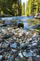 vista do rio ou torrente no parque natural de paneveggio pale di san martino em tonadico, trentino, itália foto