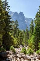 leito de rio seco no parque nacional de yosemite foto