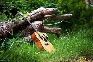 guitarra na floresta leve uma guitarra na floresta. foto