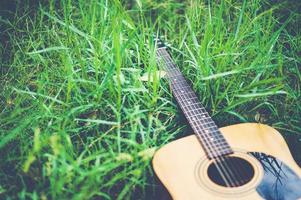 guitarra na floresta leve uma guitarra na floresta. foto