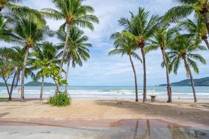 Phuket patong beach verão praia com palmeiras ao redor na praia de patong Phuket ilha Tailândia, bela praia tropical com fundo de céu azul no espaço de cópia da temporada de verão foto