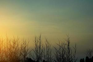 céu e sol azul e laranja no céu no verão. foto