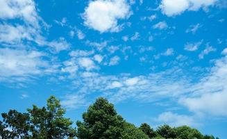 o céu é azul brilhante com nuvens brancas espalhadas. imagens da natureza com árvores, céu e nuvens, perfeitas para uso como papel de parede, banner ou plano de fundo. foto