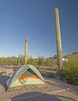 acampamento em um parque deserto foto