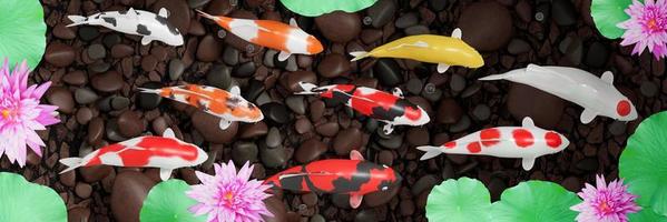 koi ou peixes koi extravagantes nadam em círculo. transmite boa sorte no feng shui. peixes nadando em uma lagoa de lótus com flores de lótus rosa o fundo da lagoa é uma rocha do rio. renderização em 3D foto